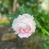 gloomymonday17